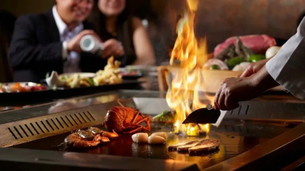 Hibachi at Home in Aledo, Made for Celebrating